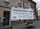 Prodej kaprů a vánočních stromků v Hlinsku