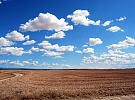 Předpovědi meteorologů pro rok 2019