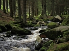 Oslavte Světový den vody v Hlinsku a Chrudimi