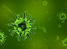 Koronavirus se v Pardubickém kraji nepotvrdil