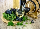 Degustace vín v MFC