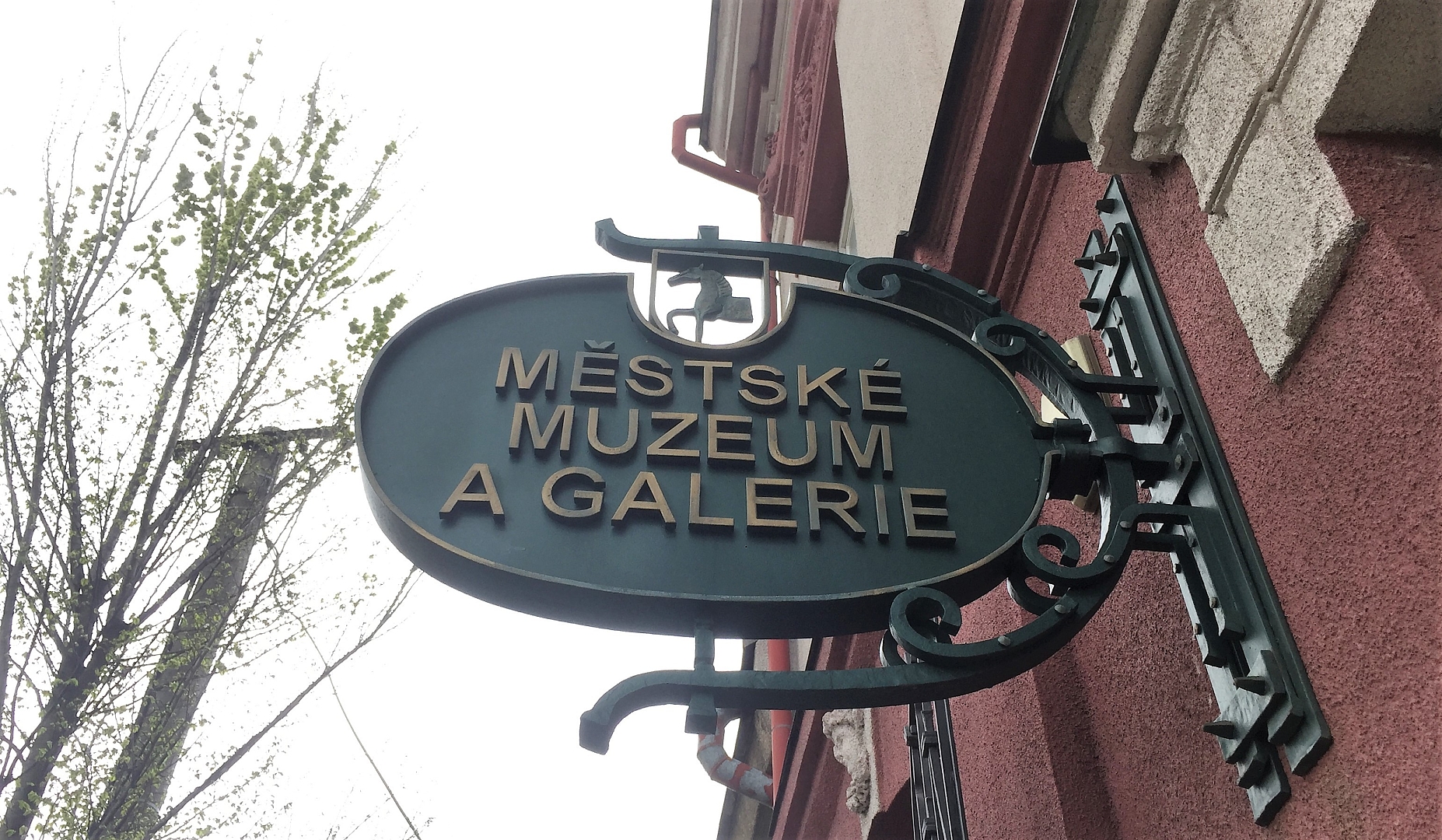 Fotografie 1