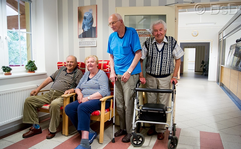 Fotografie 1