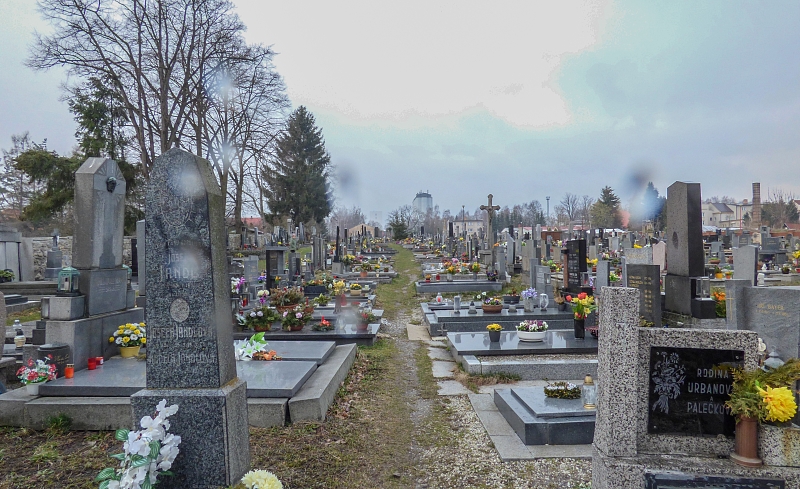 Fotografie 1