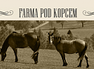 Děkujeme Farmě pod kopcem za podporu soutěží pro děti