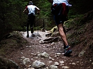 Ultratrail Žďárskými vrchy bude opět v září