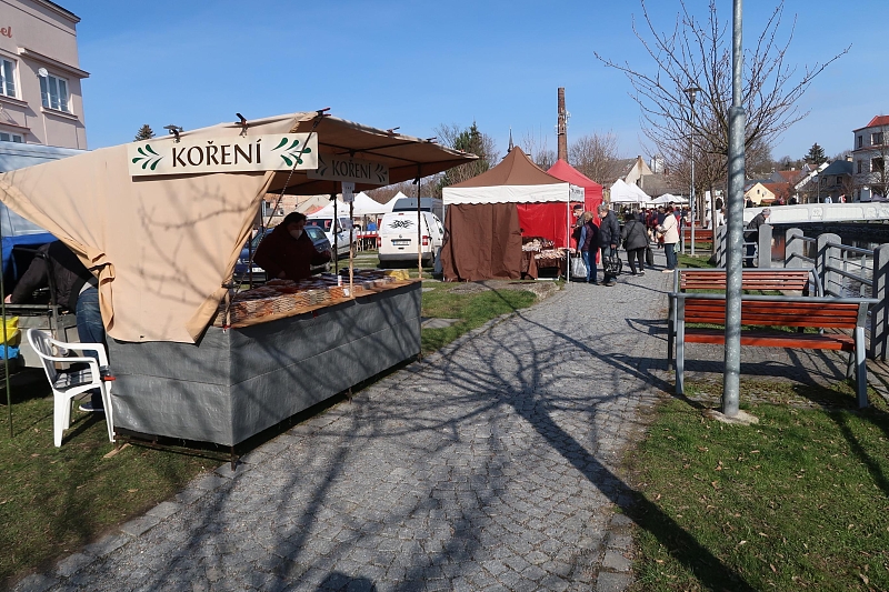 Fotografie 15