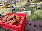 Nabídka kulturních, sportovních a společenských akcí v týdnu od 29. 4. do 5. 5.