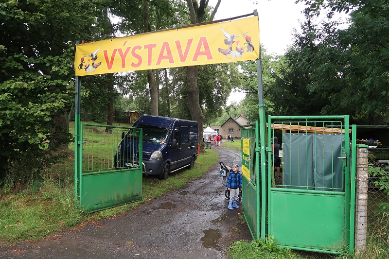 Fotografie 19