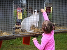 FOTOREPORTÁŽ: Na výstavě králíků, holubů, drůbeže a exotického ptactva byli oceněni nejlepší chovatelé