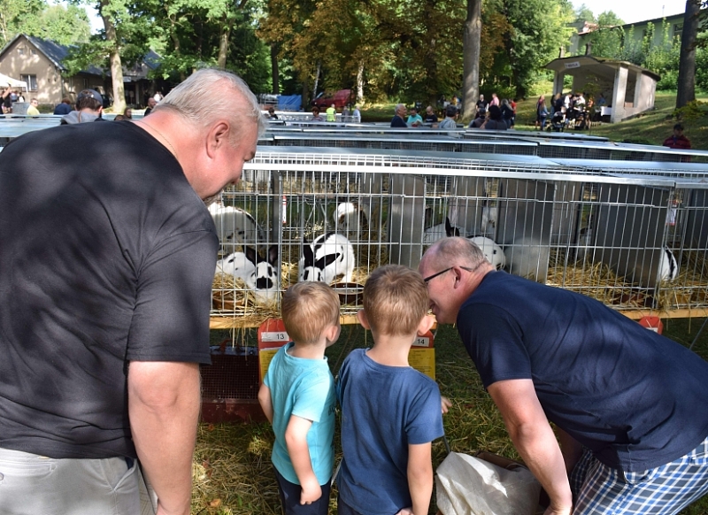 Fotografie 32