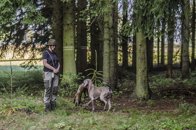 Fotografie 8
