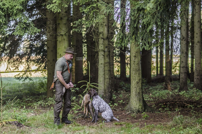 Fotografie 10