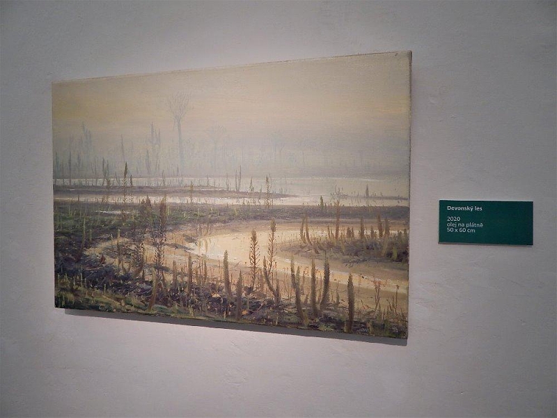 Fotografie 15