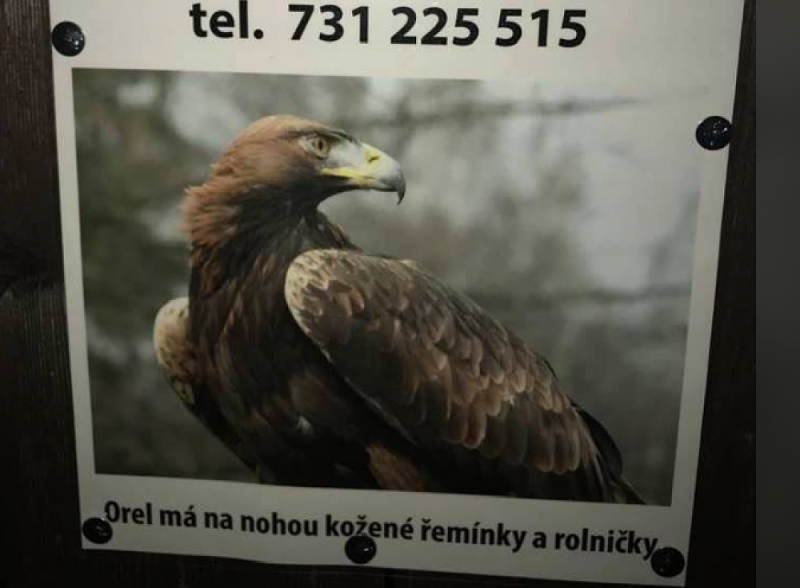 Fotografie 1