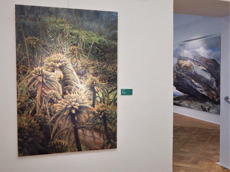 Fotografie 18