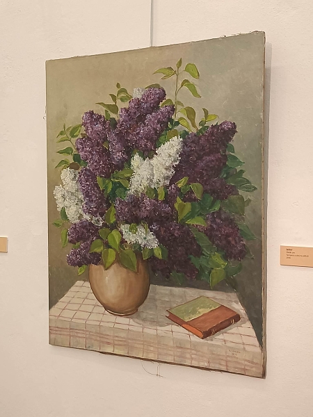 Fotografie 17