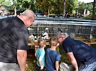 Chovatelé drobných zvířat se mohou přidat do místní organizace ZO ČSCH Hlinsko