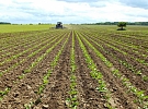 Pardubický kraj připravuje podporu regionálních produktů