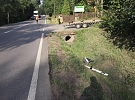 Policie pátrá po svědcích nehody mezi Hlinskem a Chlumem