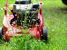 Obecní úřad Vítanov hledá brigádníka na údržbu obecních pozemků