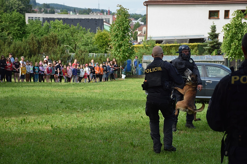 Fotografie 18