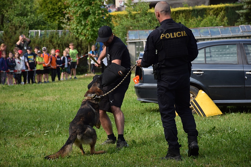 Fotografie 15