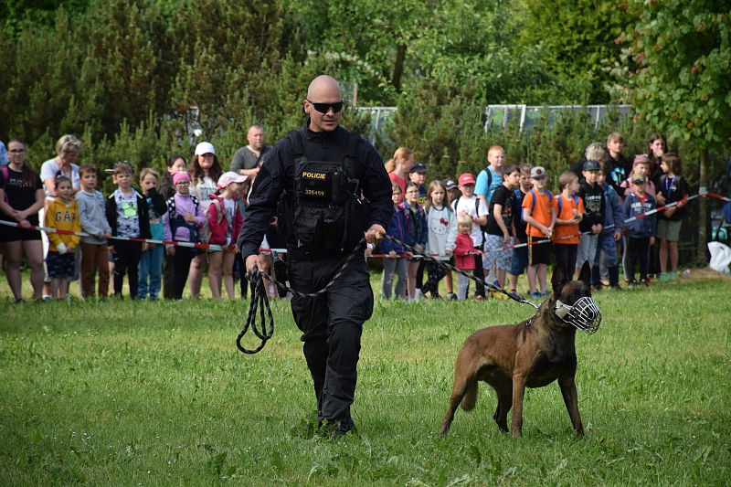Fotografie 17