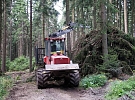 Kůrovcový kalamitní štáb projednal postupy v boji proti kůrovci