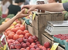 V neděli se uskuteční Farmářské trhy v Trhové Kamenici