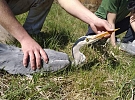 Pardubický kraj podpoří ekocentra, myslivecké spolky a záchranné stanice