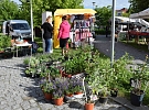 Fotoreportáž: Farmářský trh před Orlovnou zve na nákup čerstvých a zdravých potravin