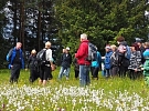 Botanicko-zoologická vycházka v přírodní památce Rataje u Hlinska