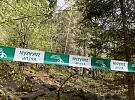 Na Drátenické skále hnízdí krkavci