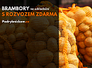 Ovoce zelenina Pod Rybníčkem Hlinsko nově nabízí brambory na uskladnění s rozvozem zdarma