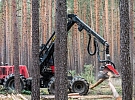 Pardubický kraj podpoří malé vlastníky lesů v boji proti kůrovci