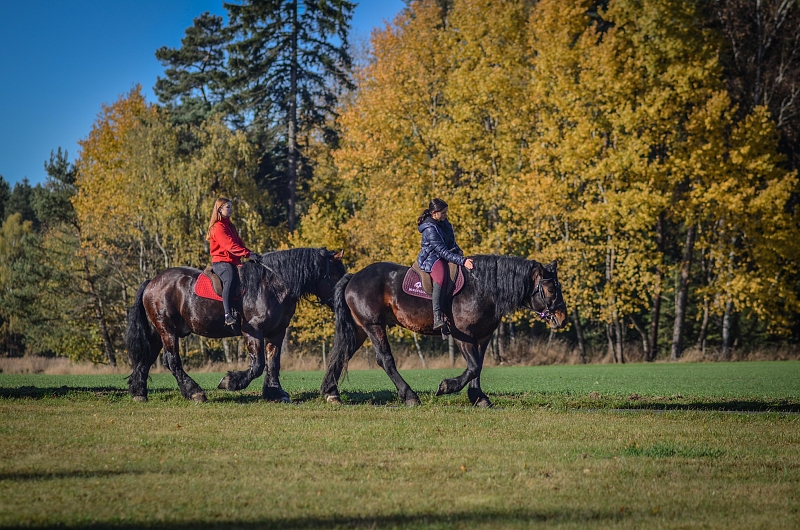 Fotografie 6