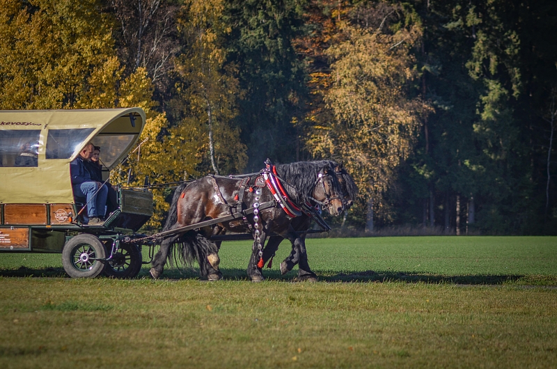 Fotografie 5