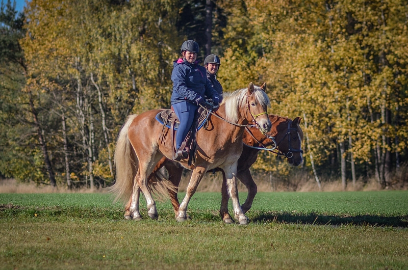 Fotografie 2