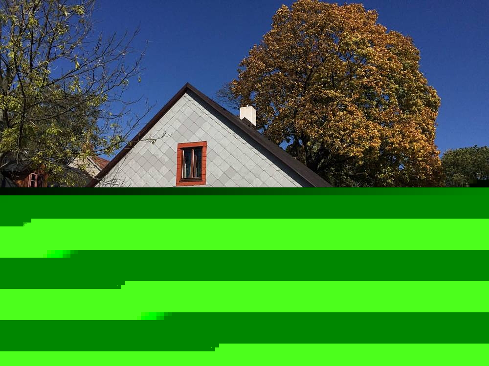 Fotografie 1