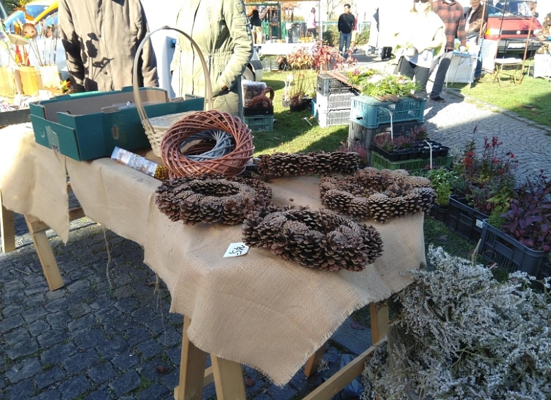 Fotografie 7