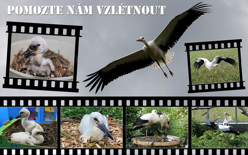 Fotografie 1