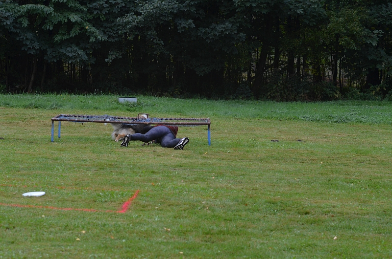 Fotografie 13