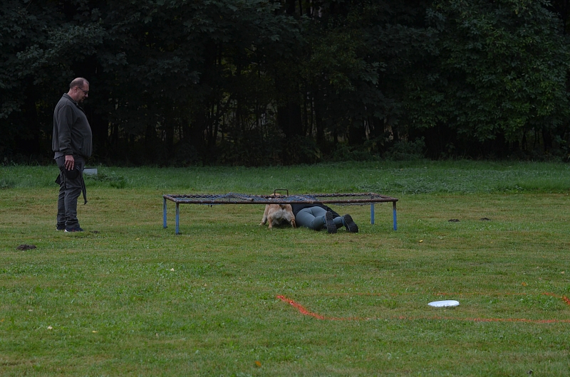 Fotografie 11