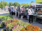 Farmářský trh nabízí regionální speciality, sazenice i poctivé řemeslo