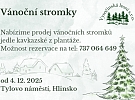Prodej vánočních stromků začíná v Hlinsku 4. prosince na Tylově náměstí