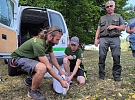 Uzdravení čápi v Záchranné stanici Pasíčka se vrátili do volné přírody