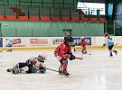 Hlinečtí hokejisté se zapojili do akce Puky pomáhají, pro výhru potřebují online hlasy