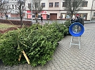 Prodej vánočních stromků na Tylově náměstí již jen od 8. do 12. prosince
