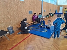 Tipy na pátek a víkend: Ples, futsal, diskotéka, Povídání o Masopustu, Autíčkyjáda, dětský karneval